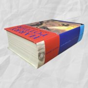 IMG_0986 2