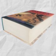 Photoroom_20251112_160854
