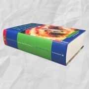Harry Potter and the Half Blood Prince: Spine base and bottom edge